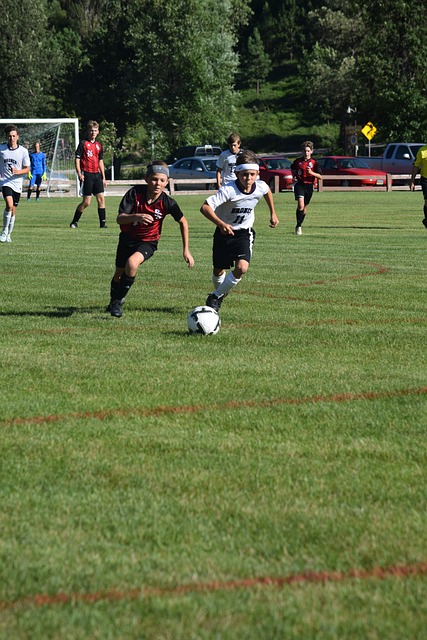 俱乐部和球 俱乐部和球