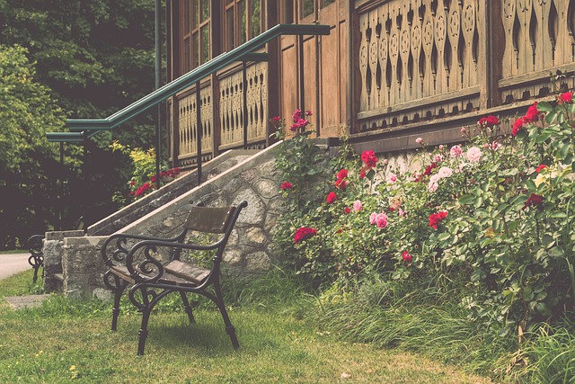 后期的球员 后期的球员