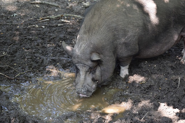 整詹姆斯的 整詹姆斯的